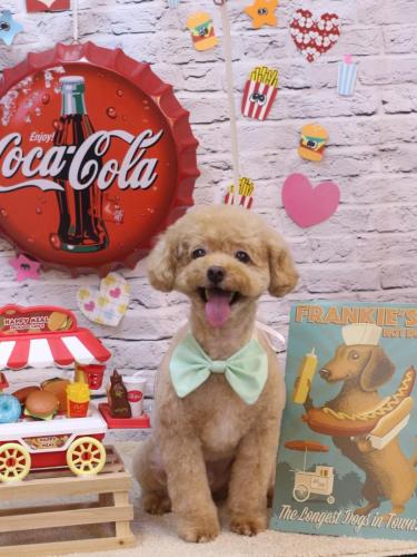 20230905ぽっきーくん